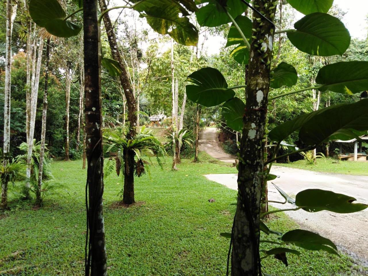 Khaosok River Camp Khao Sok National Park Екстериор снимка