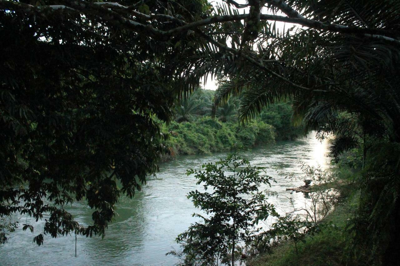 Khaosok River Camp Khao Sok National Park Екстериор снимка