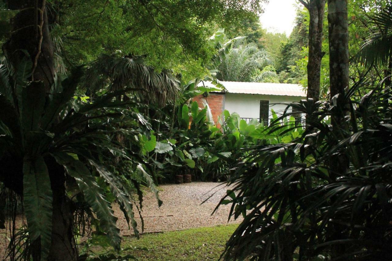 Khaosok River Camp Khao Sok National Park Екстериор снимка